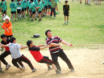 광고 스포츠 클럽 한마당 행사(체육대회)